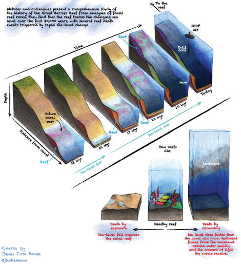 The rise and fall of sea levels over the past 30,000 years has caused the Great Barrier Reef to become alternatively exposed and drowned.
